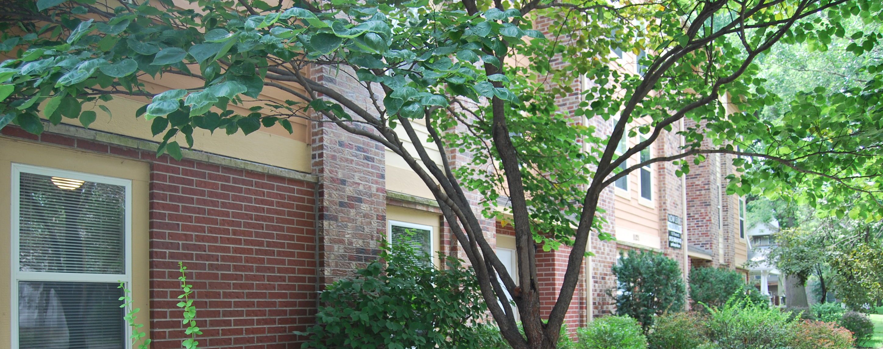 pavilion apartments manhattan ks odita